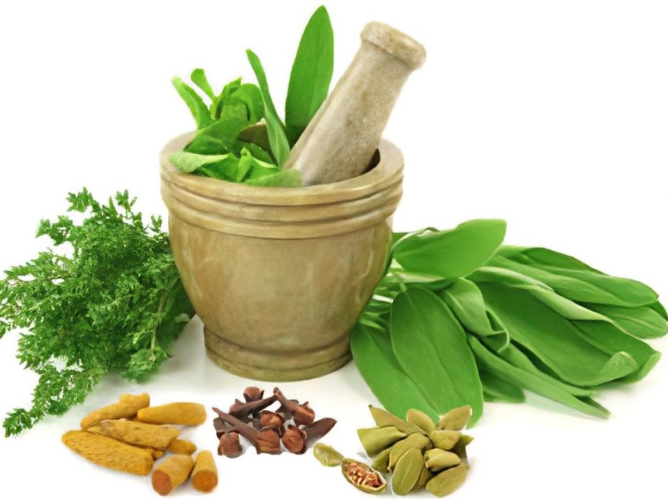 D.Pharma in Ayurveda